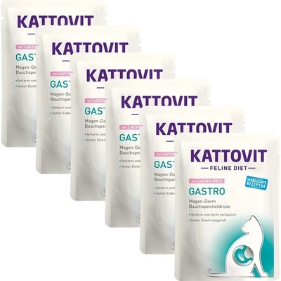 Kattovit Gastro losos s ryžou 6 x 85 g