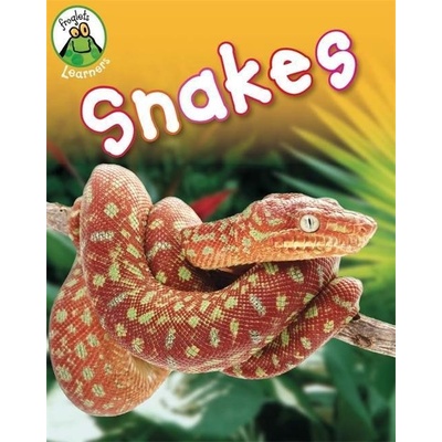 The Passion - Vintage Blue - Jeanette Winterson