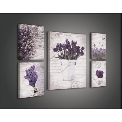 Postershop Obraz na plátně: Levandule - set 1ks 70x50 cm a 4ks 32,4x22,8 cm