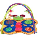 Hrací podložky PlayTo Hrací deka stonožka Multicolor