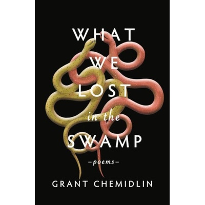 Central ave publ What We Lost in the Swamp: Poems | CHEMIDLIN GRANT