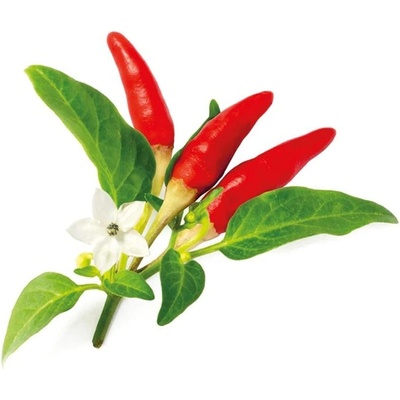 Click & Grow Семена Click and Grow, червена чили чушка, 3 броя (SGR52X3)