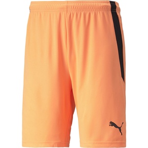 PUMA Team liga shorts m - sportisimo - 46,92 лв