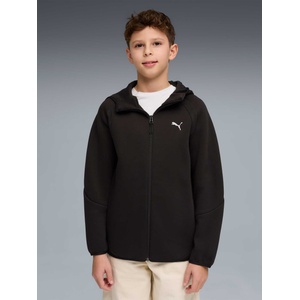 PUMA Суитшърт EVOSTRIPE Full-Zip Hoodie DK B (69250901)