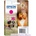 Epson T3793