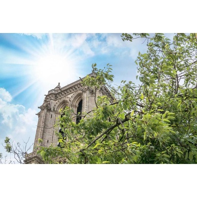 Dimex MS-5-1021 Vliesová fototapeta Notre Dame rozměry 375 x 250 cm