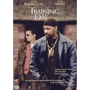 training day cz DVD