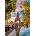 Clementoni - Puzzle Along the Seine - 500 piese