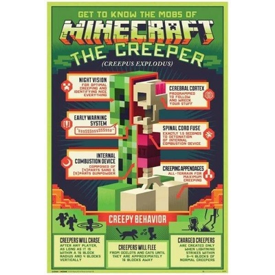 GB eye Plakát Minecraft - Anatomie Creepera