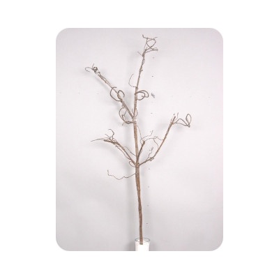 Flex twig branch hnědá 108 cm (N905998)