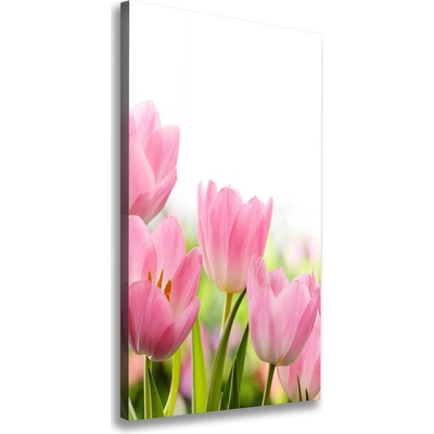 Vertikálny foto obraz na plátne Ružové tulipány 50x100 cm