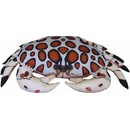 Gaby vankúš Krab kaliko 60cm