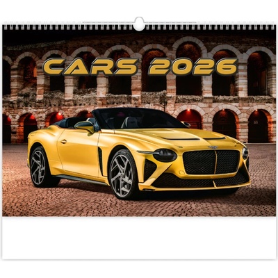 Helma nástěnný Cars 45 × 31,5 cm 2026