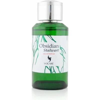Volare obsidian stalwart parfémovaná voda unisex 100 ml