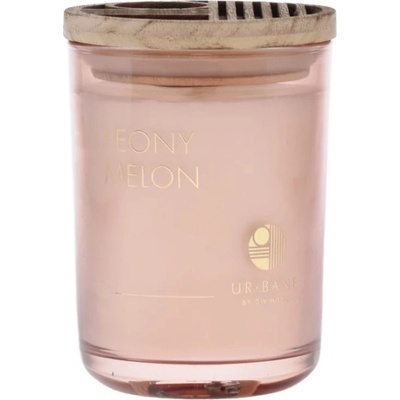 DW HOME Peony & Melon 215 g
