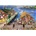 Bluebird Puzzle - Puzzle Loster Shack - 1 000 piese