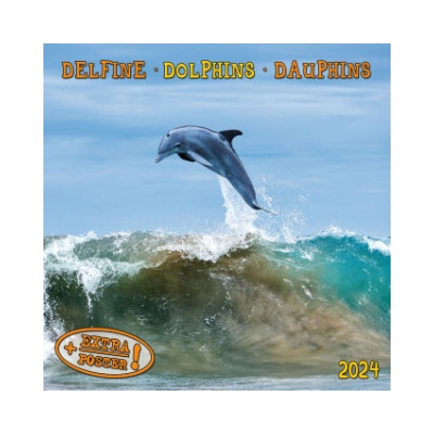 Dolphins/Delfine 2024