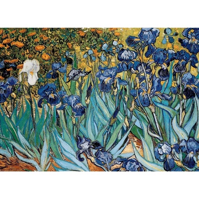 EuroGraphics Kosatce Van Gogh 1000 dílků