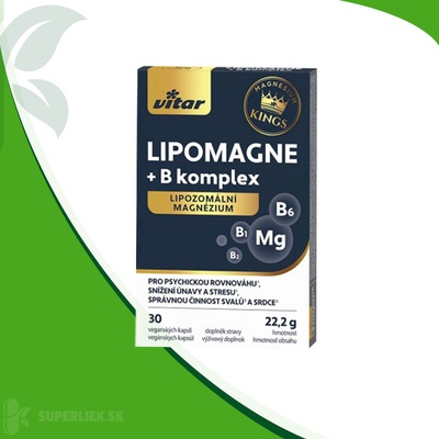 Vitar Kings Lipomagne + B komplex 30 ks