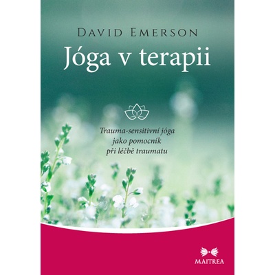 Jóga v terapii - Trauma-sensitivní jóga jako pomocník při léčbě traumatu - David Emerson
