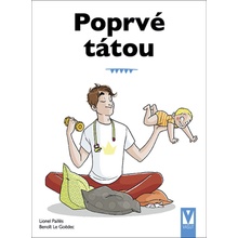 Poprvé tátou - Průvodce pro novopečené tatínky - Pailles Lione, Le Goëdec Benoit