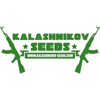 Kalashnikov Seeds Vodka Lemon semena neobsahují THC 3 ks