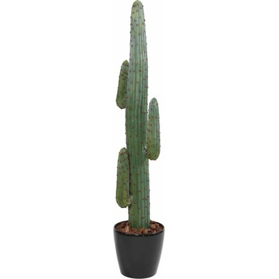 KAKTUS MEXICO GR, 170cm