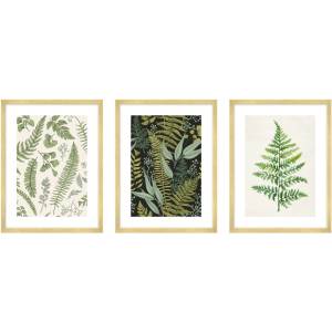 knor Картини в комплект 3 бр. 30x40 cm Fern - knor (ZEST007OBR3X30X40L13,15,045)