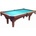 Standart Pool 9ft