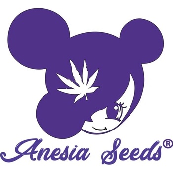 Anesia Seeds Chimera Cut semena neobsahují THC 10 ks