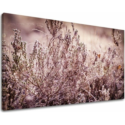 Obraz na stenu KVETY - 20x30 cm