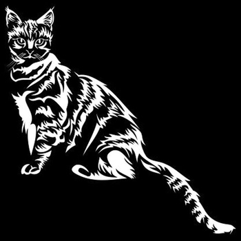 Samolepka (na auto, notebook) Kočka - bílá (17)