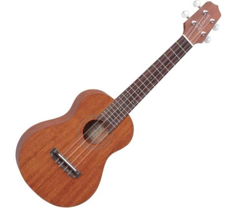 Takamine GUS1