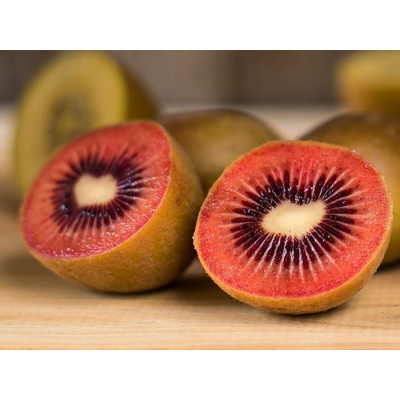 Mini Kiwi Red Jumbo, výška 20-40 cm, kvetináč 9 cm