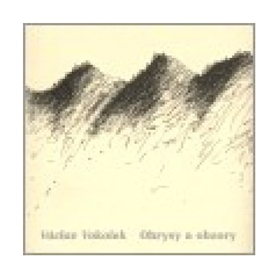 Obrysy a obzory - Václav Vokolek