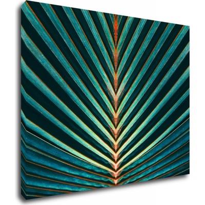 Impresi Obraz Palmový list - 90 x 70 cm