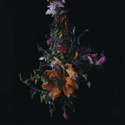 Big Brave - Nature Morte LP