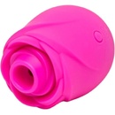 Romp rose shaped clitoral suction tool