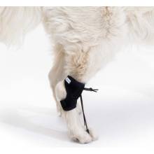 Ortocanis Pomôcka na korekciu chôdze pre psa L