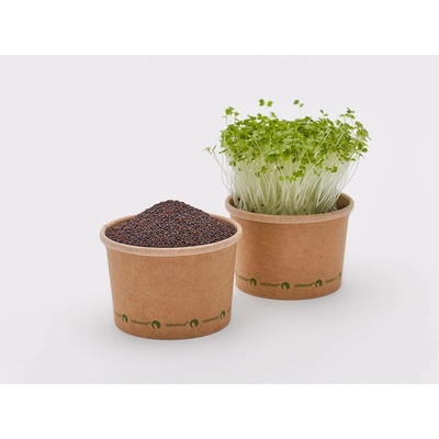 Tiny Greens Brokolice Verde BIO semínka na klíčení a microgreens 200 g