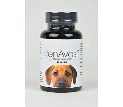 RenAvast Dog 60 tbl