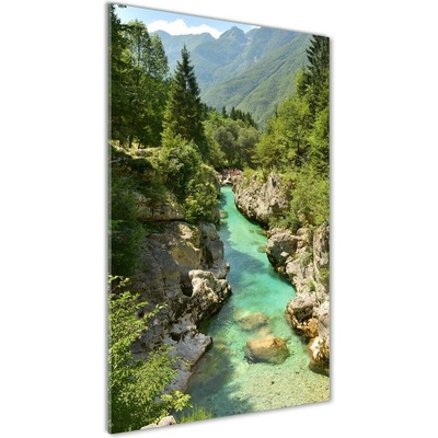 Vertikálny fotoobraz na skle Horský potok 50x100 cm