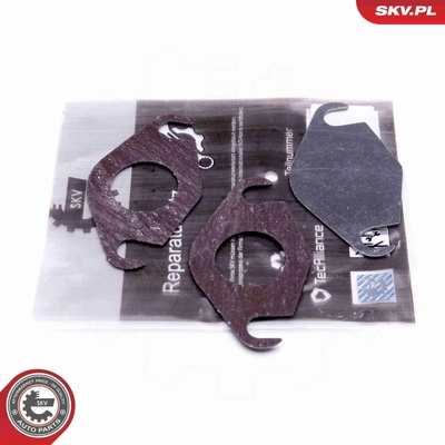 Súprava na opravu, ventil AGR ESEN SKV 14SKV577 14SKV577