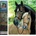 Norimpex - Puzzle Diamond Painting Kone 30x40cm - 1 - 39 piese