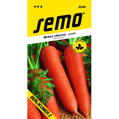 SEMO Mrkva obyčajná BERLIKUMER 2
