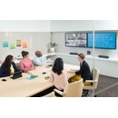 Logitech Rally Speaker