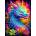 Enjoy - Puzzle Celestial Dragon - 1 000 piese