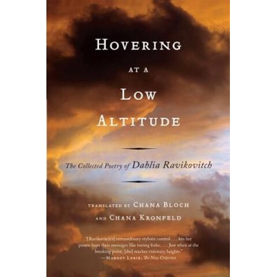 Hovering at a Low Altitude | Dahlia Ravikovich