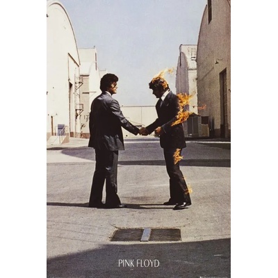 GB posters постер Pink Floyd - Иска ми се да си тук - GB posters - LP1445