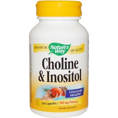 Nature's Way Choline 250 mg & Inositol 250 mg [100 капсули]